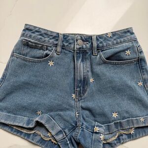 Pacsun Women's Blue Shorts